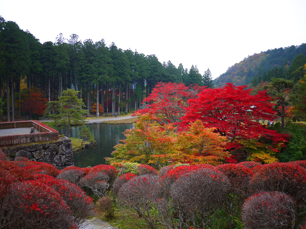 f:id:pitfall1:20141103172947j:image:w300 f:id:pitfall1:20141103172947j:image:w300