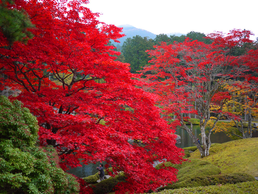 f:id:pitfall1:20141103172949j:image:w300 f:id:pitfall1:20141103172949j:image:w300