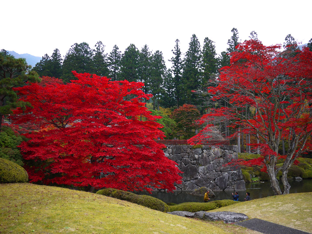 f:id:pitfall1:20141103172951j:image:w300 f:id:pitfall1:20141103172951j:image:w300