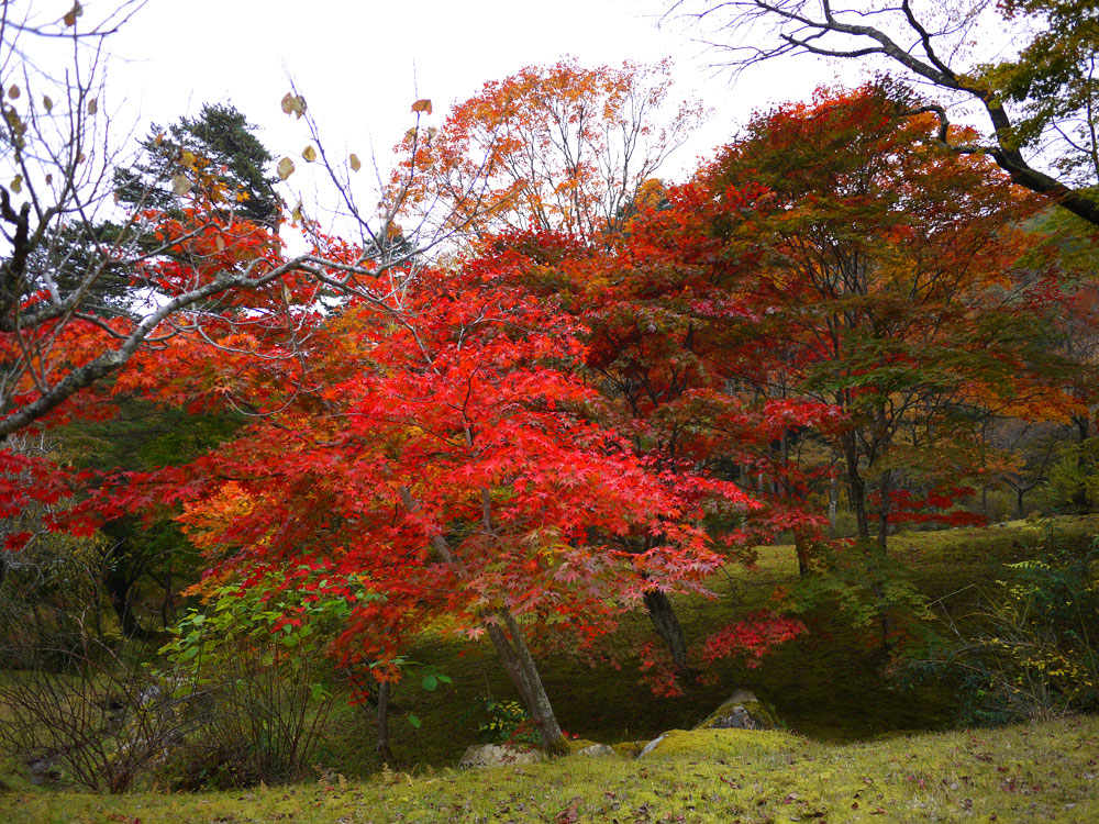 f:id:pitfall1:20141103172952j:image:w300 f:id:pitfall1:20141103172952j:image:w300