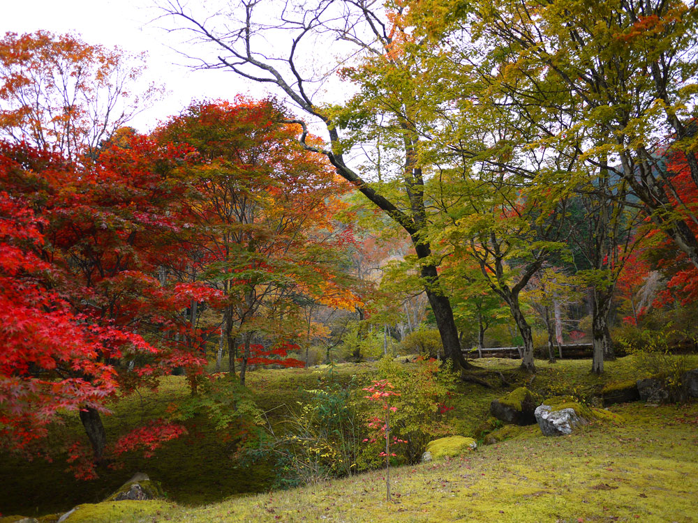 f:id:pitfall1:20141103172953j:image:w300 f:id:pitfall1:20141103172953j:image:w300