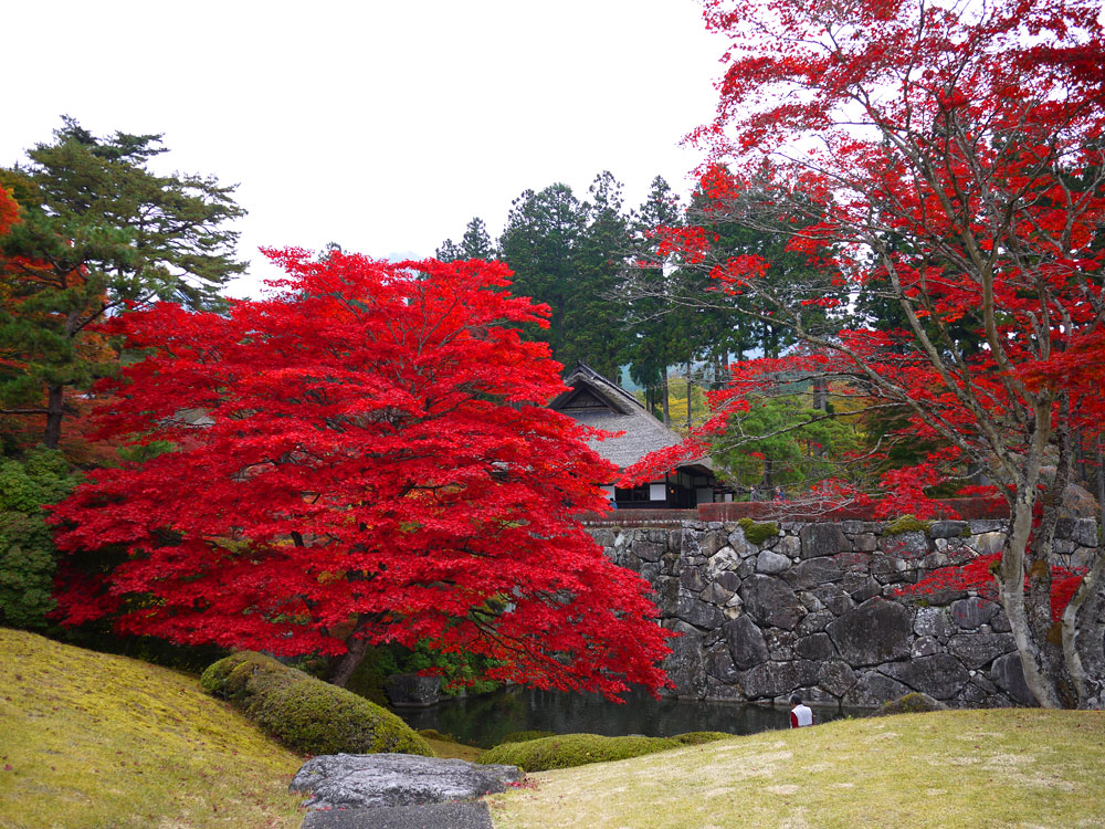 f:id:pitfall1:20141103172954j:image:w300 f:id:pitfall1:20141103172954j:image:w300