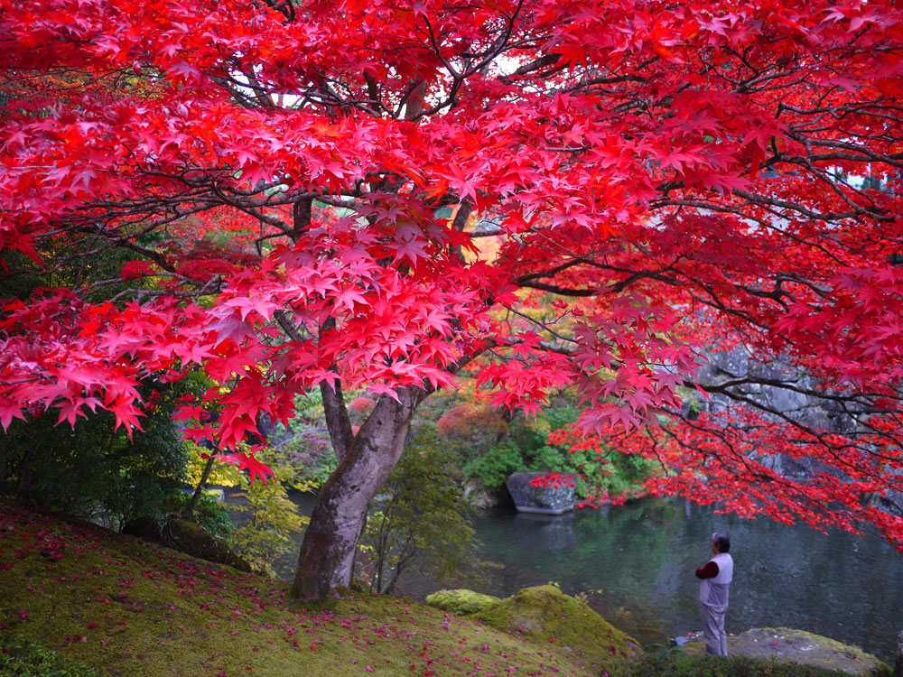 f:id:pitfall1:20141103172955j:image:w300 f:id:pitfall1:20141103172955j:image:w300