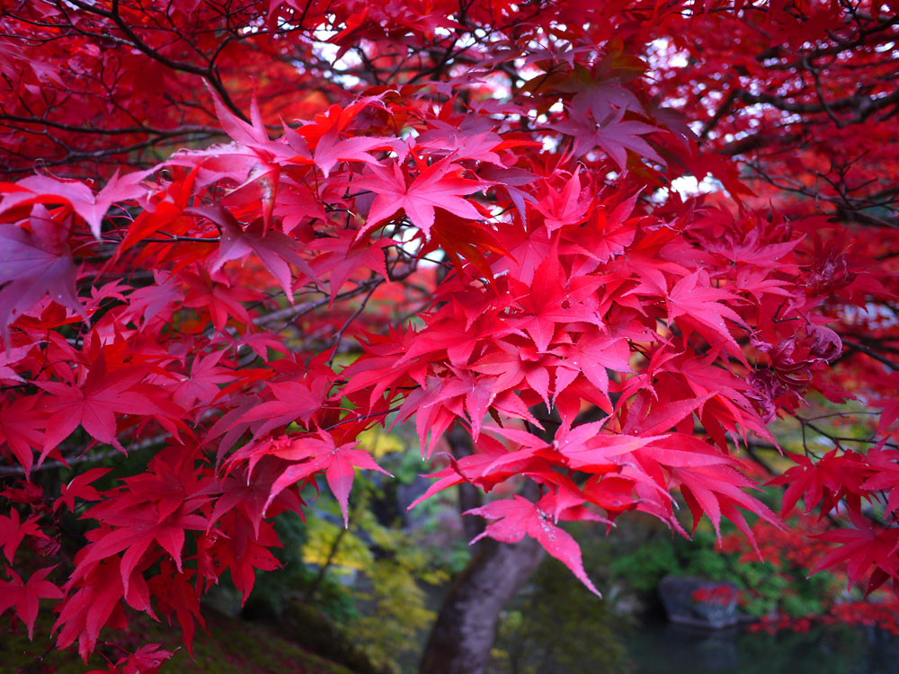 f:id:pitfall1:20141103172956j:image:w300 f:id:pitfall1:20141103172956j:image:w300