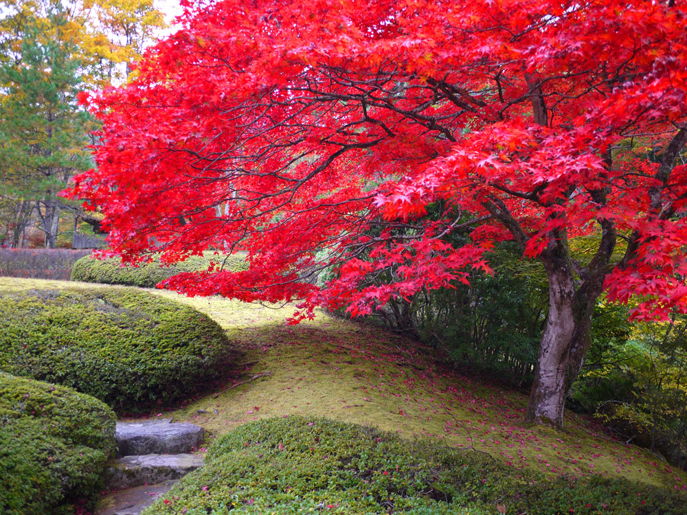 f:id:pitfall1:20141103173002j:image:w300 f:id:pitfall1:20141103173002j:image:w300