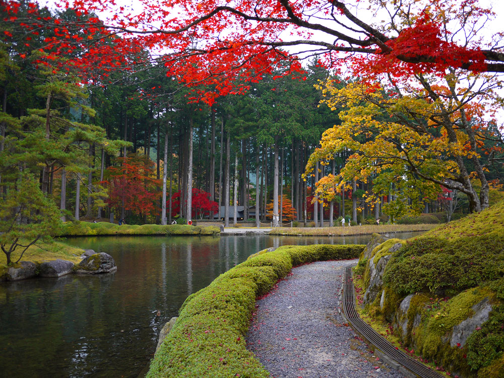 f:id:pitfall1:20141103173004j:image:w300 f:id:pitfall1:20141103173004j:image:w300