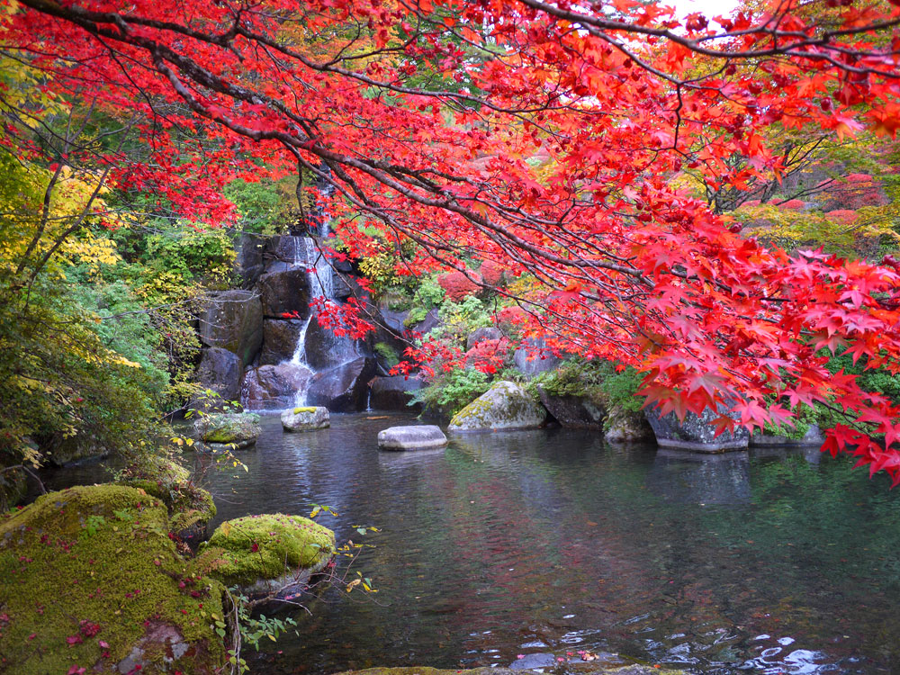 f:id:pitfall1:20141103173005j:image:w300 f:id:pitfall1:20141103173005j:image:w300