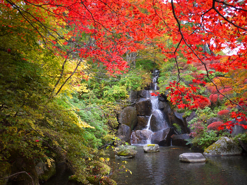 f:id:pitfall1:20141103173006j:image:w300 f:id:pitfall1:20141103173006j:image:w300