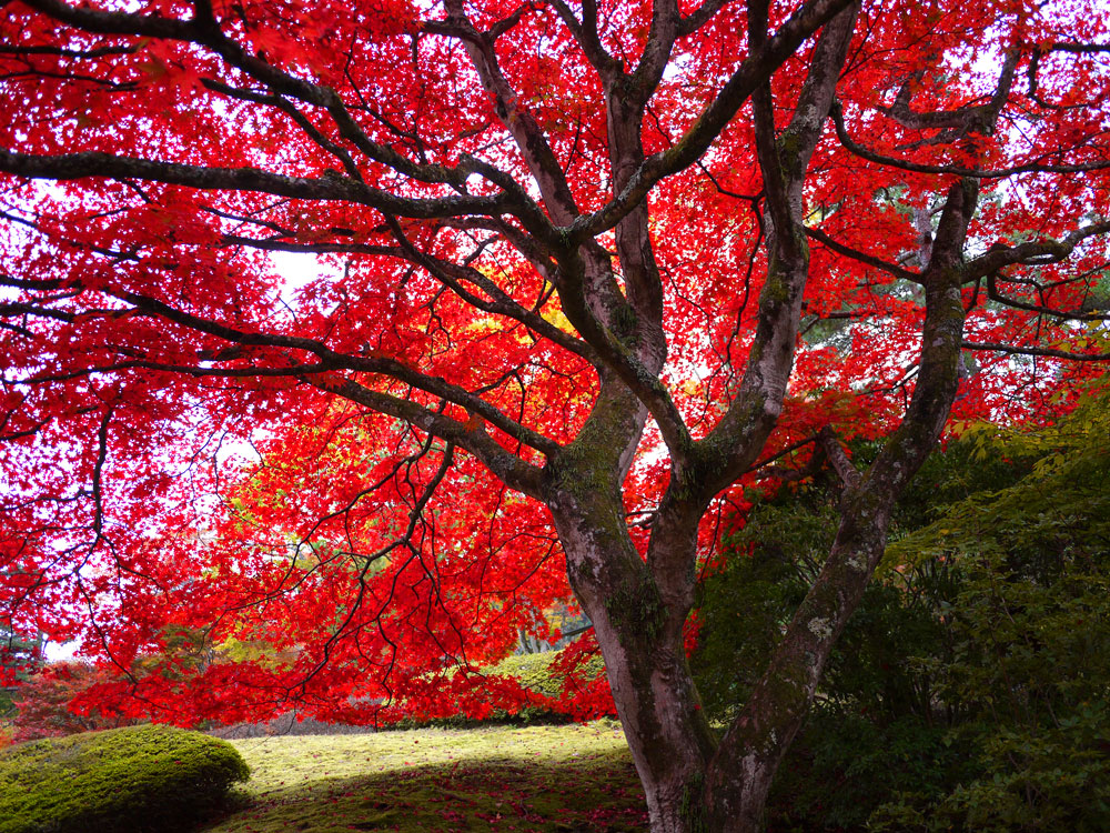 f:id:pitfall1:20141103173007j:image:w300 f:id:pitfall1:20141103173007j:image:w300