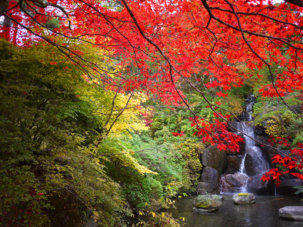 f:id:pitfall1:20141103173009j:image:w300 f:id:pitfall1:20141103173009j:image:w300