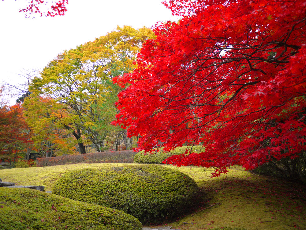 f:id:pitfall1:20141103173010j:image:w300 f:id:pitfall1:20141103173010j:image:w300