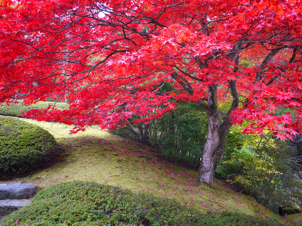 f:id:pitfall1:20141103173011j:image:w300 f:id:pitfall1:20141103173011j:image:w300