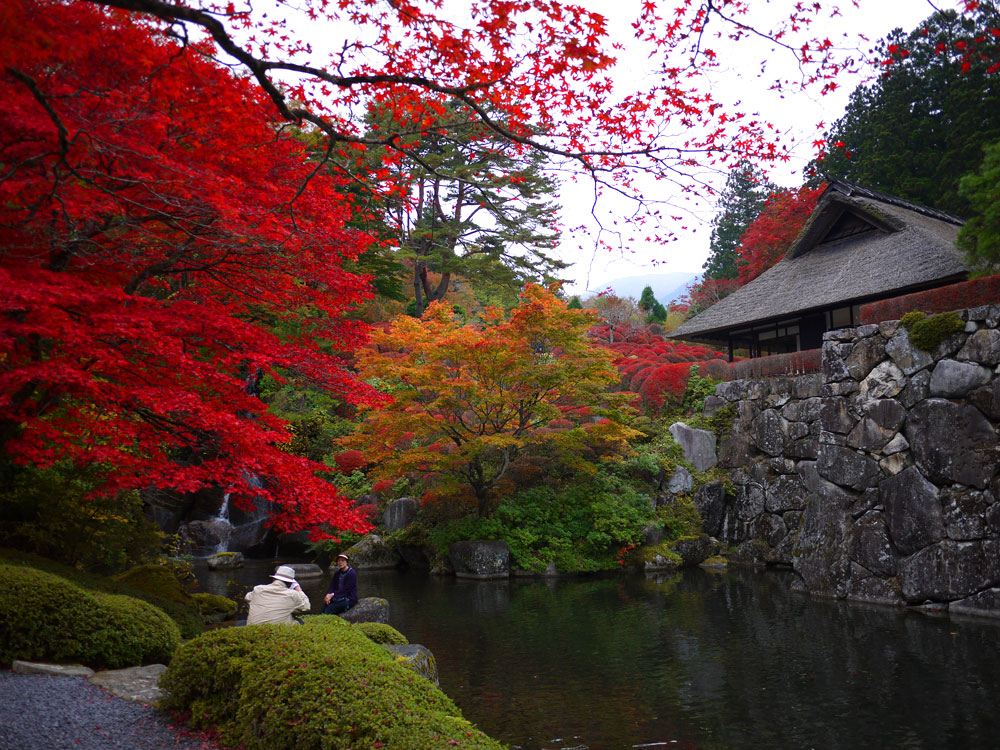 f:id:pitfall1:20141103173012j:image:w300 f:id:pitfall1:20141103173012j:image:w300