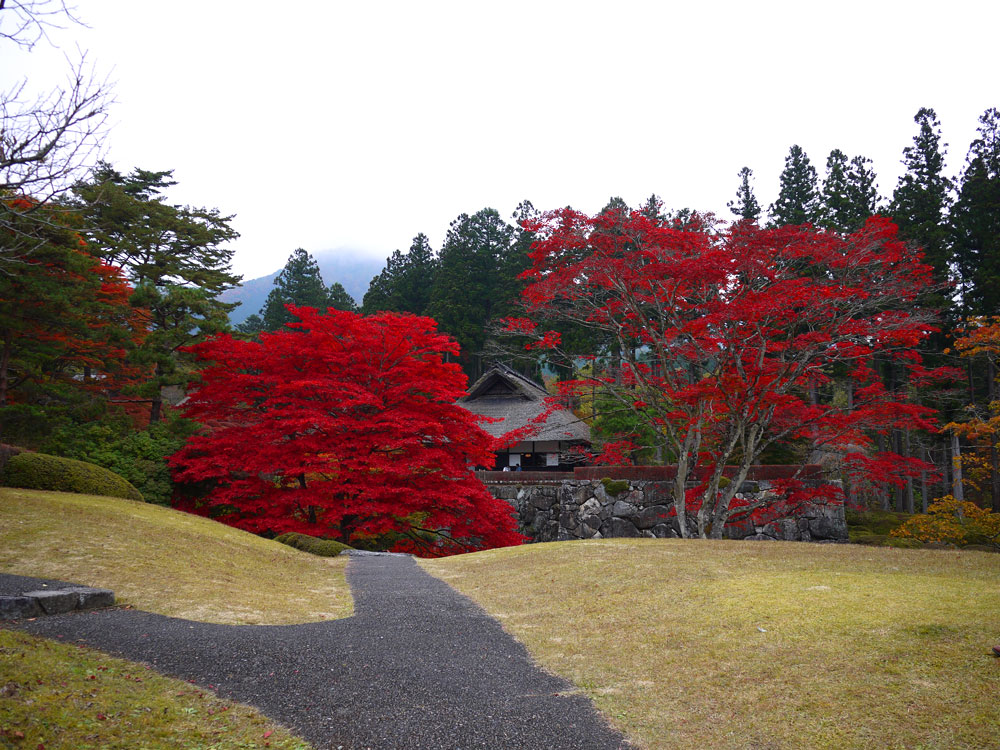 f:id:pitfall1:20141103173013j:image:w300 f:id:pitfall1:20141103173013j:image:w300