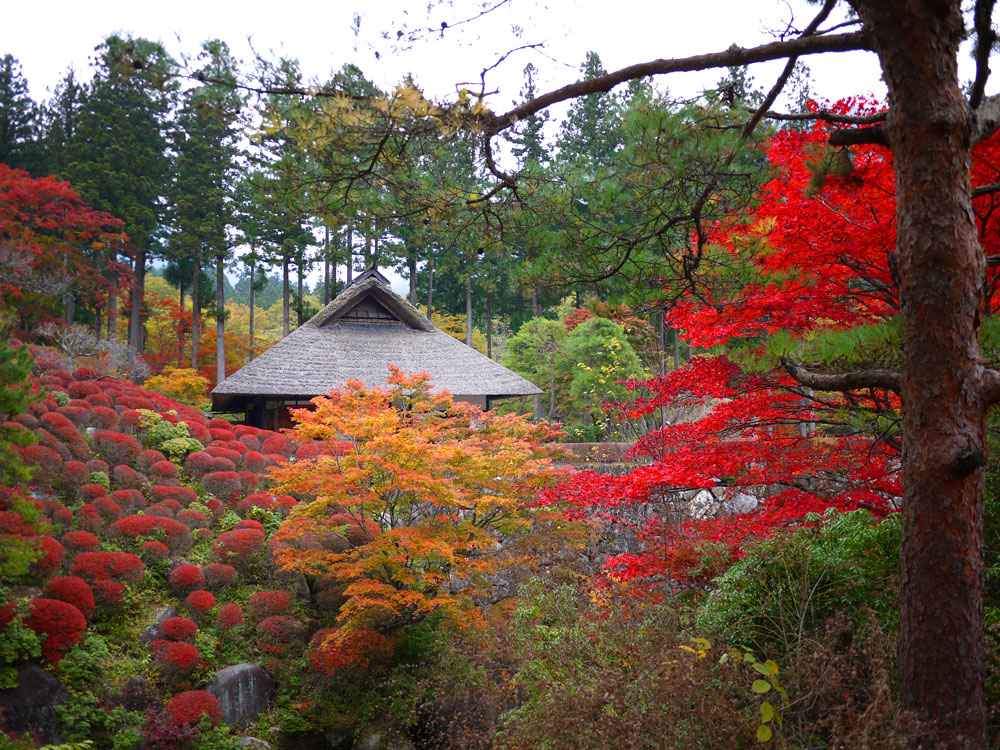 f:id:pitfall1:20141103173014j:image:w300 f:id:pitfall1:20141103173014j:image:w300