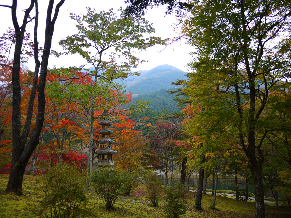 f:id:pitfall1:20141103173016j:image:w300 f:id:pitfall1:20141103173016j:image:w300