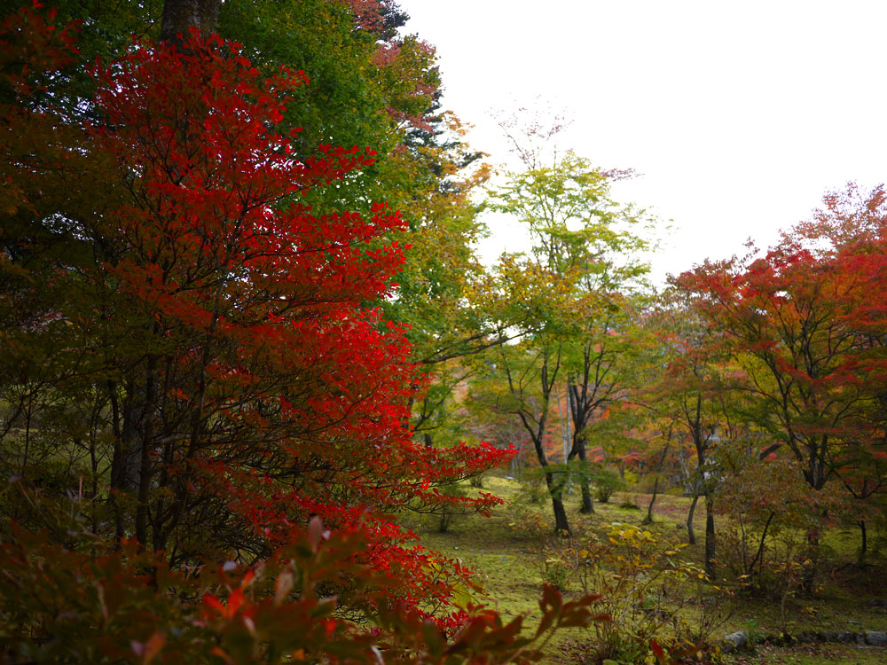 f:id:pitfall1:20141103173017j:image:w300 f:id:pitfall1:20141103173017j:image:w300