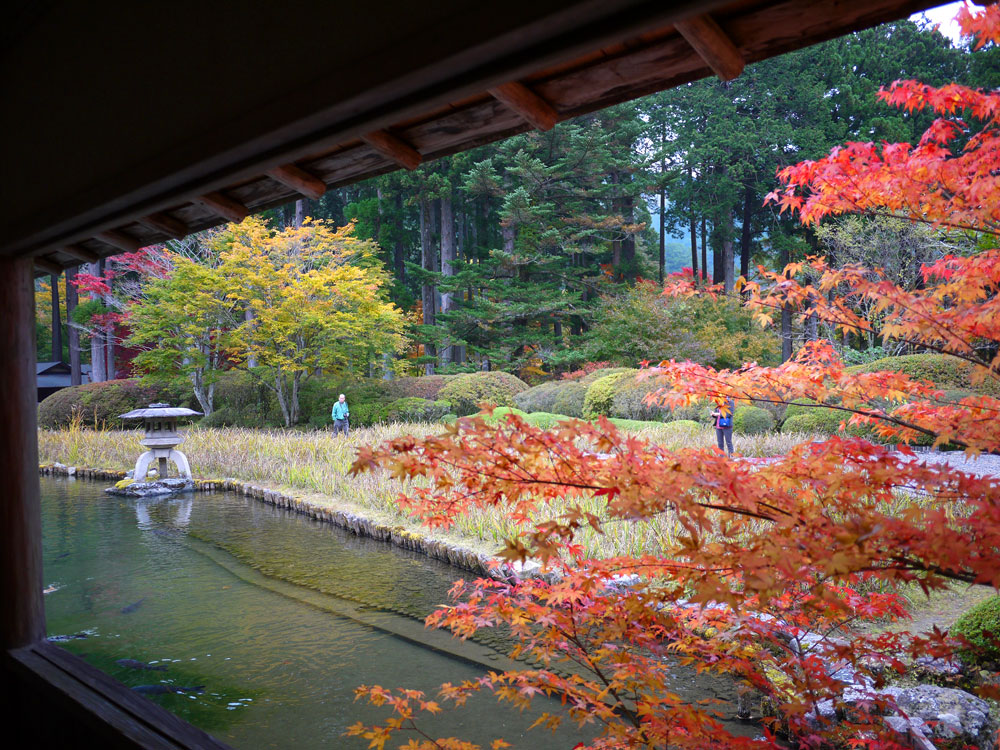 f:id:pitfall1:20141103173018j:image:w300 f:id:pitfall1:20141103173018j:image:w300