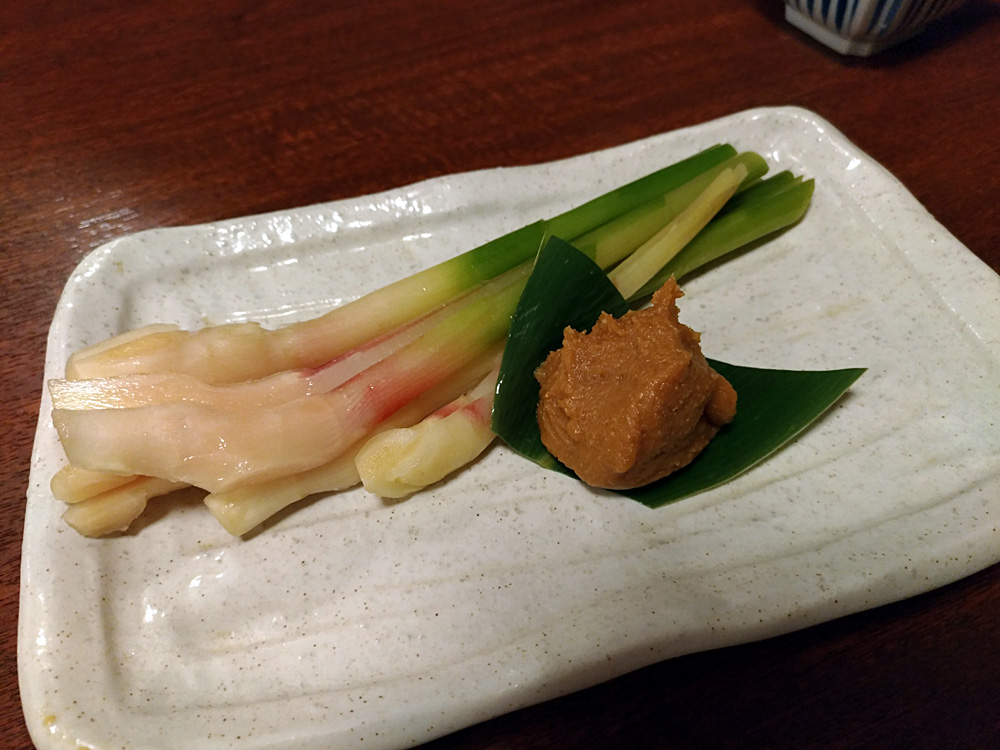 f:id:pitfall1:20180529182421j:plain