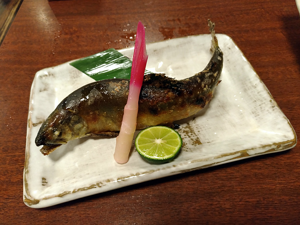 f:id:pitfall1:20180529182450j:plain