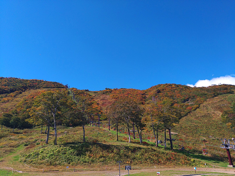 f:id:pitfall1:20181004205301j:plain f:id:pitfall1:20181004205301j:plain
