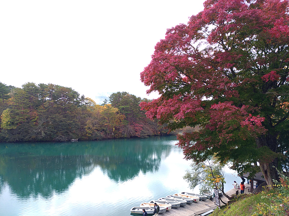 f:id:pitfall1:20181029165745j:plain f:id:pitfall1:20181029165745j:plain