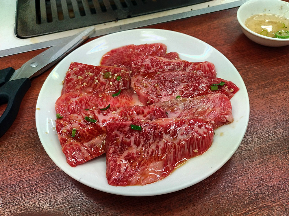 f:id:pitfall1:20210503074911j:plain