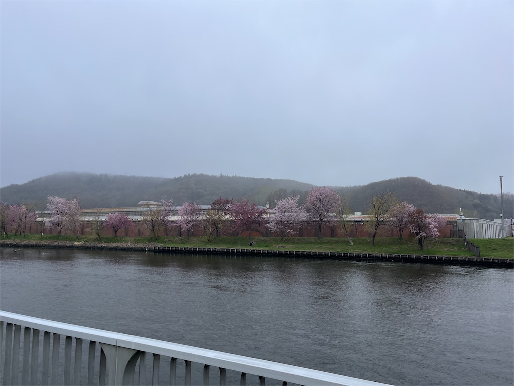 f:id:pitotsuki:20260509211318j:image f:id:pitotsuki:20260509211318j:image