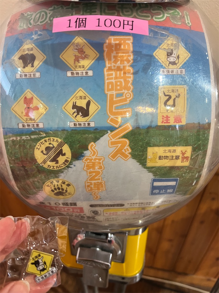 f:id:pitotsuki:20260509211522j:image f:id:pitotsuki:20260509211522j:image