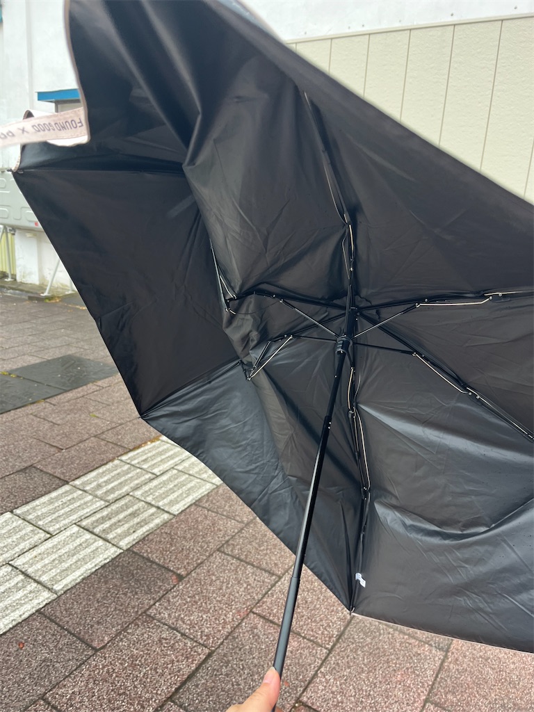 f:id:pitotsuki:20260606213033j:image f:id:pitotsuki:20260606213033j:image