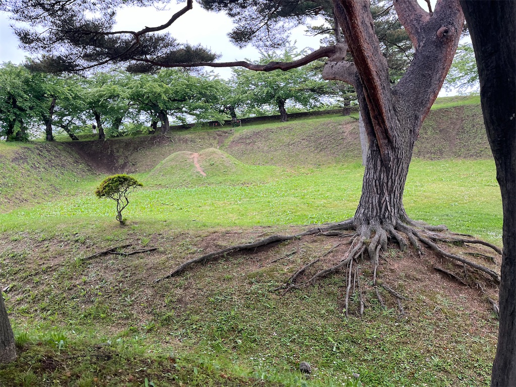 f:id:pitotsuki:20260608122552j:image f:id:pitotsuki:20260608122552j:image