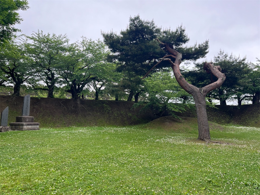 f:id:pitotsuki:20260608122655j:image f:id:pitotsuki:20260608122655j:image