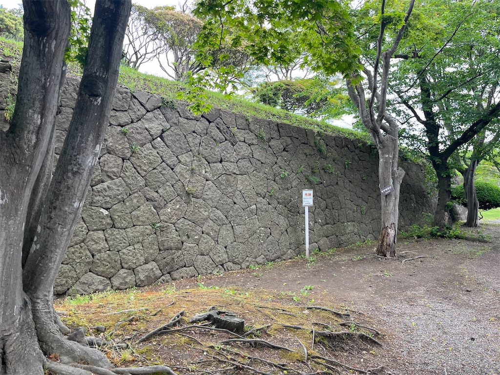 f:id:pitotsuki:20260608122721j:image f:id:pitotsuki:20260608122721j:image