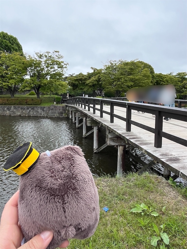 f:id:pitotsuki:20260609185542j:image f:id:pitotsuki:20260609185542j:image