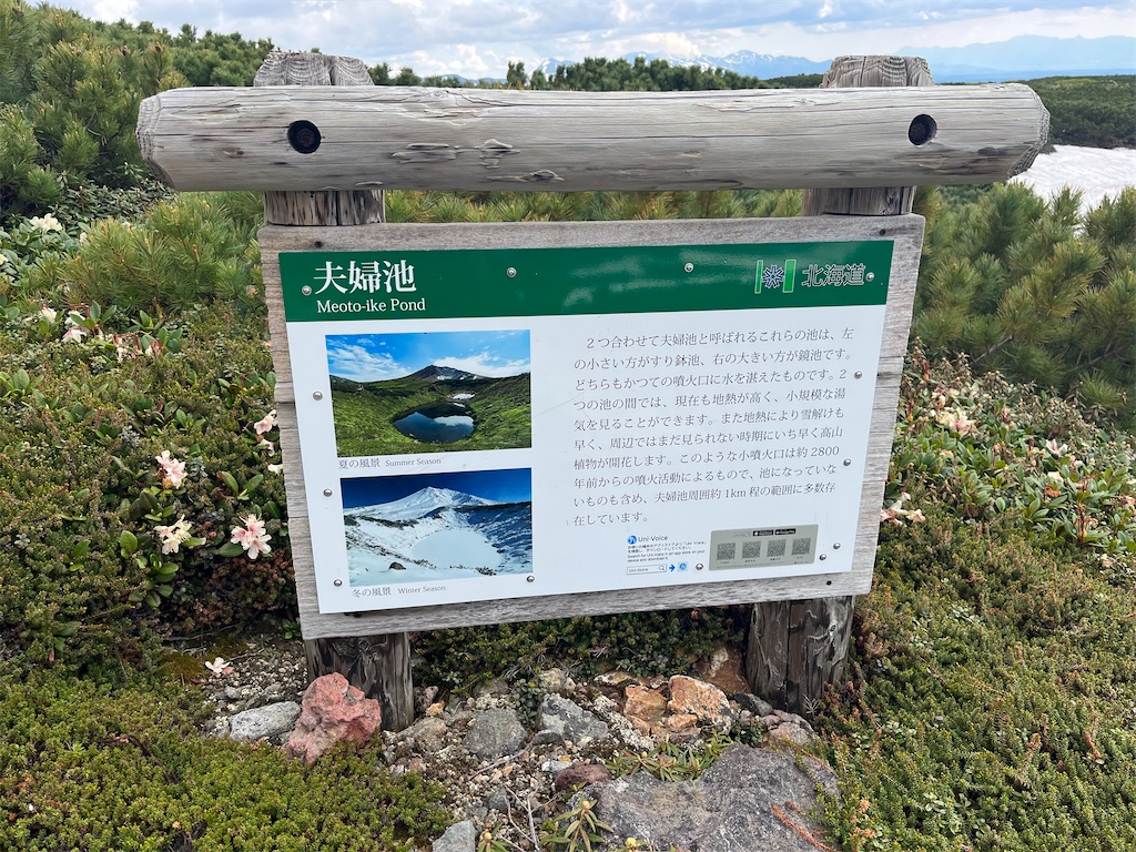 f:id:pitotsuki:20260614191959j:image f:id:pitotsuki:20260614191959j:image