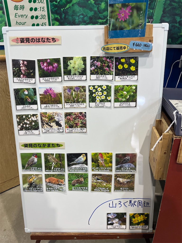 f:id:pitotsuki:20260614193204j:image f:id:pitotsuki:20260614193204j:image