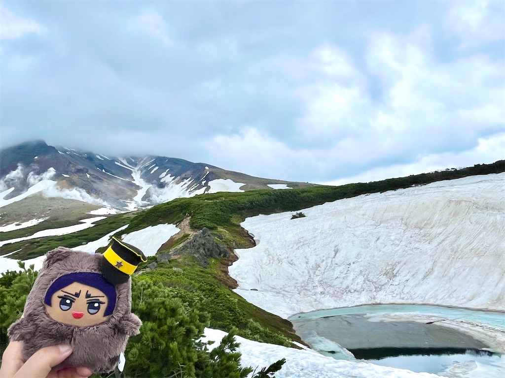 f:id:pitotsuki:20260615071802j:image f:id:pitotsuki:20260615071802j:image