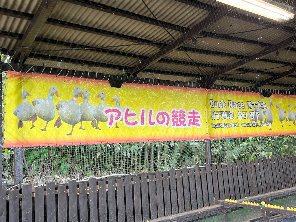 f:id:pitotsuki:20260627185642j:image f:id:pitotsuki:20260627185642j:image