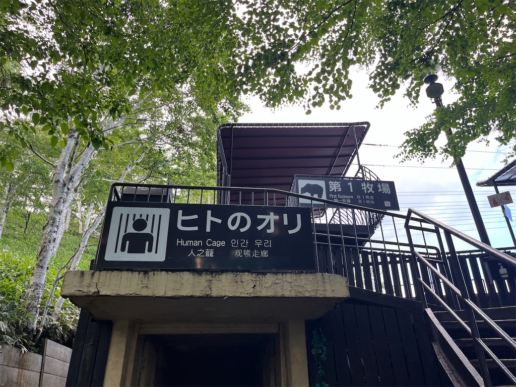 f:id:pitotsuki:20260627185906j:image f:id:pitotsuki:20260627185906j:image
