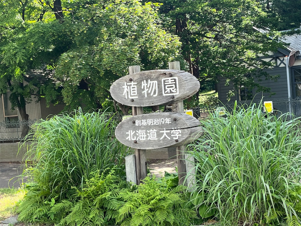 f:id:pitotsuki:20260628190335j:image f:id:pitotsuki:20260628190335j:image