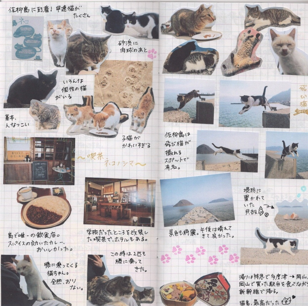 f:id:pitotsuki:20260810154703j:image f:id:pitotsuki:20260810154703j:image