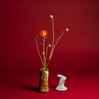 f:id:pitti2210:20170114084651j:plain