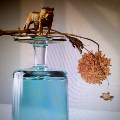 f:id:pitti2210:20200120233623j:plain f:id:pitti2210:20200120233623j:plain