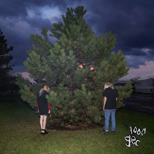 f:id:pitti2210:20200120235345j:plain f:id:pitti2210:20200120235345j:plain