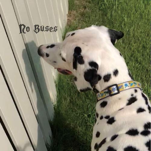 f:id:pitti2210:20200120235629j:plain f:id:pitti2210:20200120235629j:plain