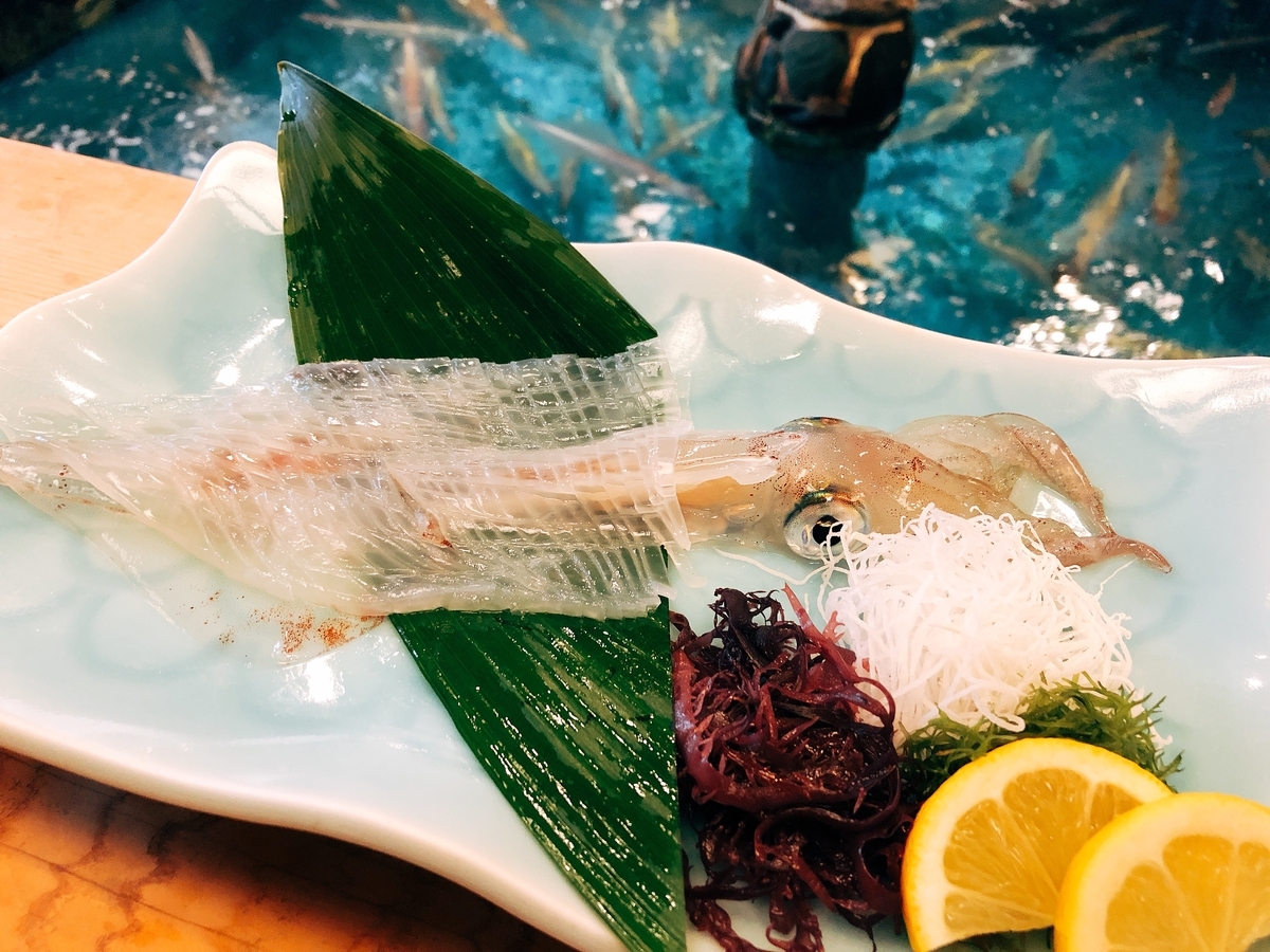 f:id:pittsun:20190426130612j:plain f:id:pittsun:20190426130612j:plain