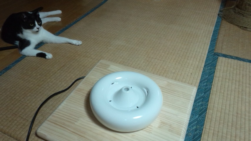 f:id:pityun:20180703201715j:plain f:id:pityun:20180703201715j:plain