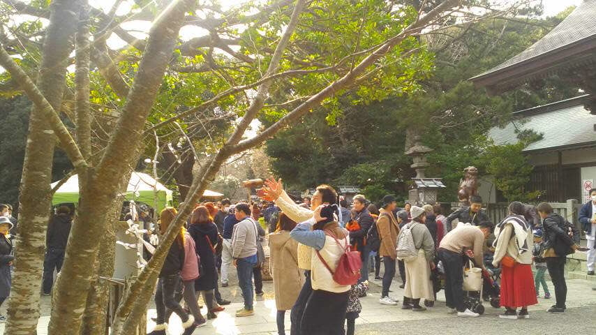 f:id:pityun:20190203143701j:plain f:id:pityun:20190203143701j:plain