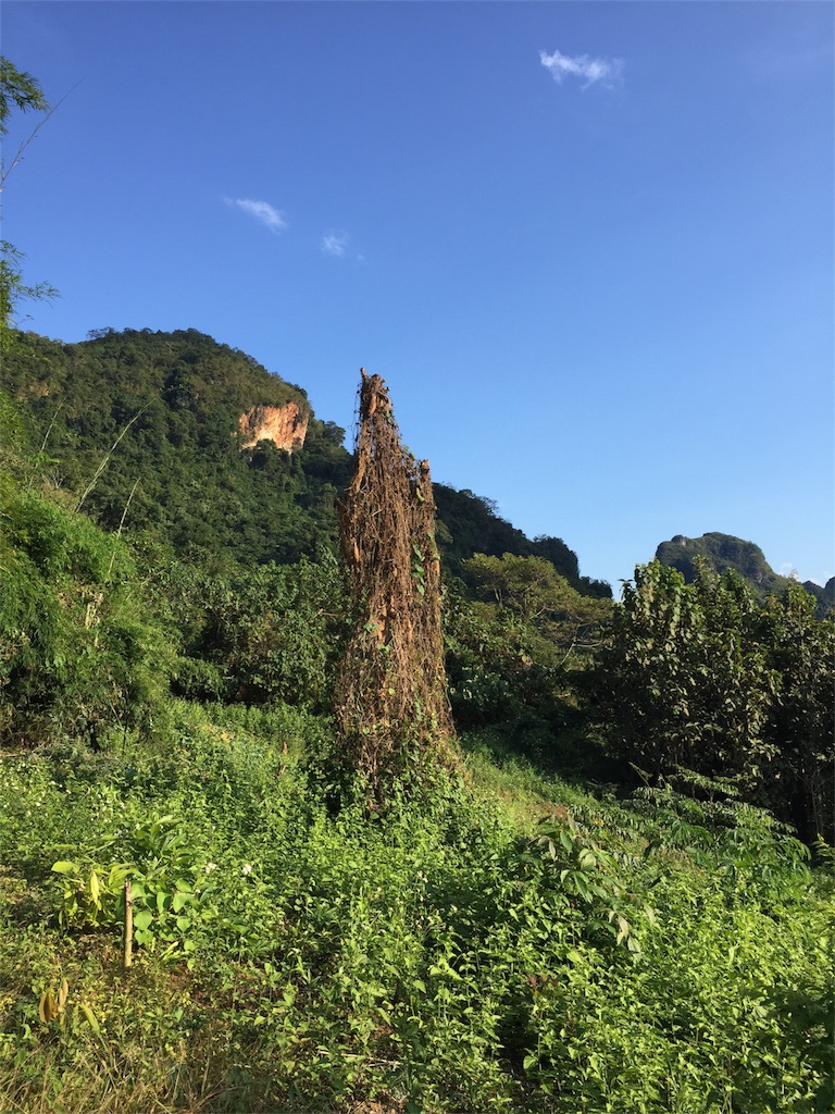 f:id:piwaso:20181209050047j:image f:id:piwaso:20181209050047j:image
