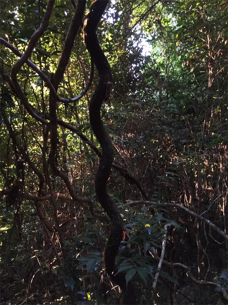 f:id:piwaso:20181209050249j:image f:id:piwaso:20181209050249j:image